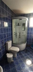 a blue tiled bathroom with a toilet and a shower at Vila Nikola & Aleksa in Vrnjačka Banja
