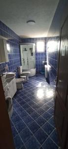 a blue tiled bathroom with two toilets and a sink at Vila Nikola & Aleksa in Vrnjačka Banja +33 photos