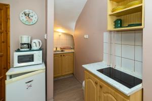 a small kitchen with a microwave and a refrigerator at Cecey Apartman in Eger