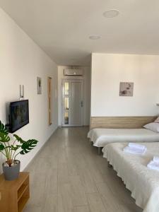 a room with three beds and a potted plant at Apartments Adria in Baška Voda