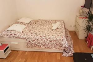 ein Schlafzimmer mit einem Bett mit zwei Kissen darauf in der Unterkunft Mini apartment in fairy-tale city! in Heidelberg