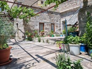 a courtyard with potted plants in front of a building at Guest House Sunlight in Guzelyurt