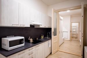 Kuchyň nebo kuchyňský kout v ubytování Apartmány Velké náměstí