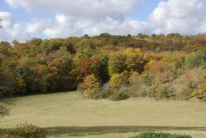 Imagen de la galería de Péchalvet, en Fleurac