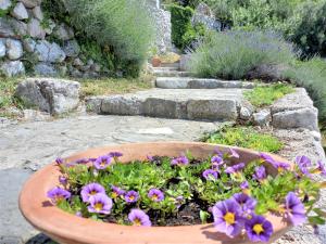 Zahrada ubytování cascading villa nebbo dubrovnik