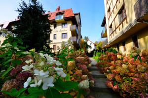 Vonkajšia záhrada v ubytovaní Apartament harmonic aparts