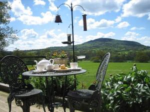 Příroda nedaleko bed and breakfast