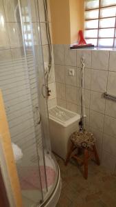 ein Badezimmer mit einer Dusche, einer Badewanne und einem Stuhl in der Unterkunft Brązowy Domek - Tleń, Bory Tucholskie in Tleń