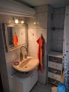 a bathroom with a sink and a mirror at Ferienhaus Johanna & Ferienwohnung Thum in Weischlitz