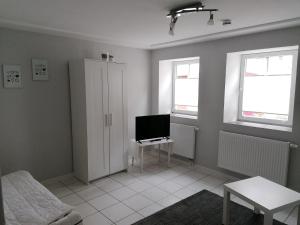 a living room with a tv and a bed and two windows at Ferienwohnung Dillamar in Veitshöchheim