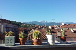 een groep potplanten op een richel bij La Pentajota • camera con vista in Mondovì +5 foto's