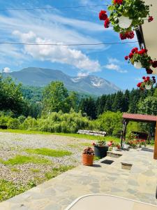 a patio with flowers and a view of a mountain at Pensiunea Pietrosul in Borşa