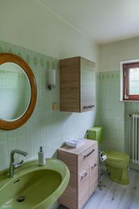 ein Badezimmer mit einem grünen Waschbecken und einem WC in der Unterkunft Top-bewertete Komfort-Ferienwohnung mit Sonnenterrasse und Garten in der Lüneburger Heide in Hanstedt