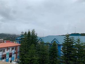 a group of trees in front of a blue building at North 27 Hill Transient Rooms near Microtel Inn and Victory Liner Baguio in Baguio