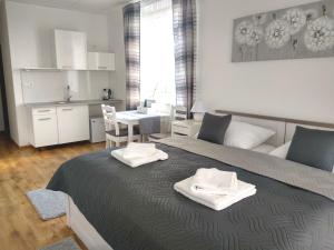 1 dormitorio con 2 camas y cocina con mesa en Penzion Wellness Chechluvka, en Dolní Tošanovice
