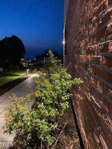 Zahrada ubytování Manca Loft & SPA