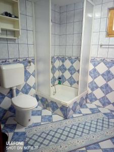 a bathroom with a toilet and a shower at Brvnara Pliva 20m jezero rostilj Relax in Nature in Jajce +31 photos