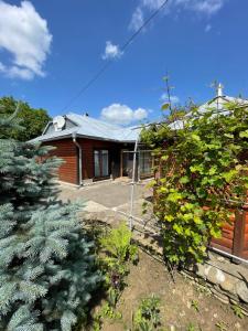 a house with a garden in front of it at Прикарпаття in Kosiv