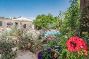 A garden outside Olga's Organic garden Home for a couple! with Wifi & AC
