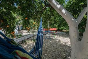 A garden outside Olga's Organic garden Home for a couple! with Wifi & AC