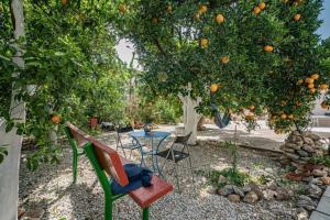 A garden outside Olga's Organic garden Home for a couple! with Wifi & AC
