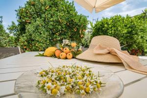 A garden outside Olga's Organic garden Home for a couple! with Wifi & AC