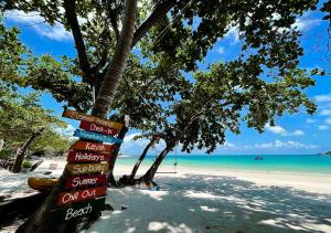 ชายหาดของรีสอร์ทหรือชายหาดที่อยู่ใกล้ ๆ