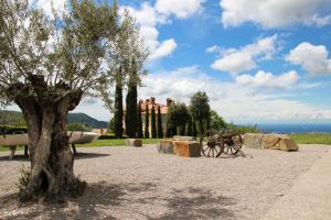 a tree and rocks in front of a building at Bellevue in Marezige