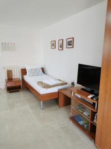 Apartment Sara في نجيفيش: غرفة معيشة مع سرير وتلفزيون