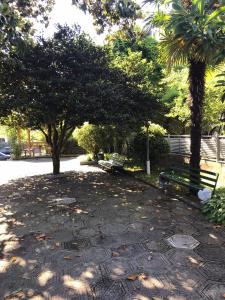 Giardino di Hotel Niko