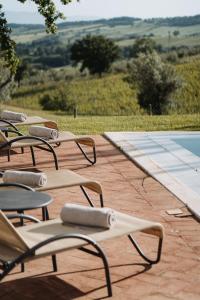 
a row of chairs sitting on top of a patio at Terenzi Hospitality & Wine in Scansano
