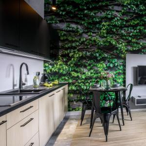 a kitchen with a green wall with a table and chairs at Luxo apartments 13 in Jelenia Góra