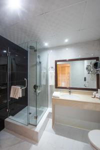 a bathroom with a shower, sink, and tub at BM Beach Hotel in Ras al Khaimah