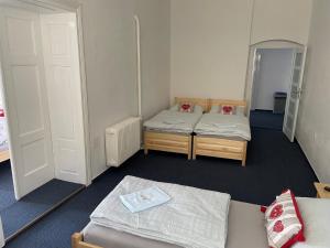 Katil atau katil-katil dalam bilik di Apartmán Netolice 207 Deluxe