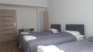 Posteľ alebo postele v izbe v ubytovaní Apartamenty Irena Stare Miasto Św. Ducha