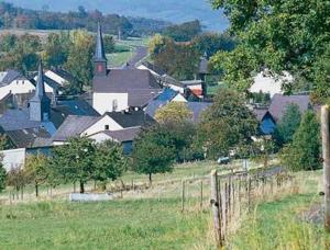 a village with a fence and a field with a church at Penthouse Mosel Huntress in Gornhausen