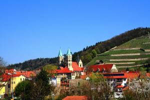 uma cidade com um castelo no topo de uma colina em Ferienhaus Zur alten Korbmacherei em Freyburg