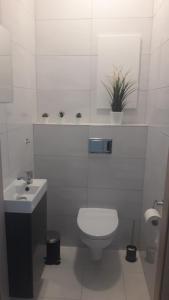 a white bathroom with a toilet and a sink at Apartamenty Irena Stare Miasto Św. Ducha in Elblag