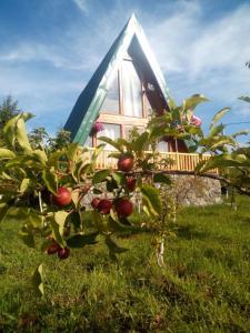an apple tree in front of a house at Banjska brvnara in Vrnjačka Banja