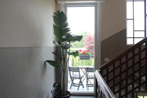 Foto dalla galleria di B&B I due tigli a Travedona