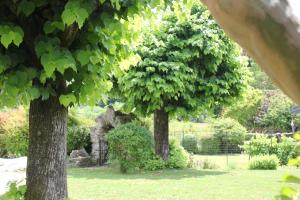 Giardino di B&B I due tigli