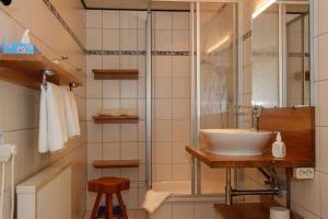 a bathroom with a sink and a shower at Ferienwohnung Rhönchalet und TBund in Fladungen