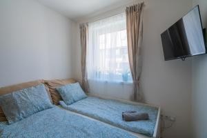 a bedroom with a couch and a tv and a window at Captain’s Home Kenese Apartman in Balatonkenese