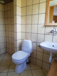 uma casa de banho com um WC e um lavatório em Ośrodek wczasowy Raciąż em Raciąż