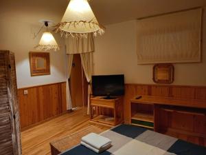 TV a/nebo společenská místnost v ubytování Apartamento dúplex acogedor con piscina en Rialp