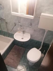 uma casa de banho com um WC branco e um lavatório. em Apartma Gače em Semič