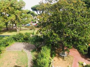 an overhead view of a park with an orange tree at Carolina’S Nest in Casal Palocco