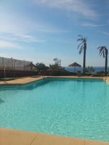 a large blue swimming pool with palm trees and the ocean at Cortijo El Paraíso in Los Escullos