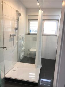 a bathroom with a shower and a toilet at Loft Appartement Seven in Friedrichshafen
