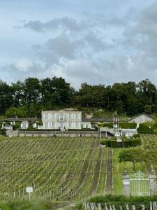 a large vineyard with a white house in the background at Le Gite du Pavillon - Sainte-Croix-du-Mont in Sainte-Croix-du-Mont